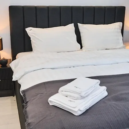 Grey Harmony - Premium Comfort In Appartement Timişoara