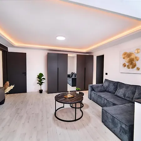 Grey Harmony - Premium Comfort In Appartement Timişoara