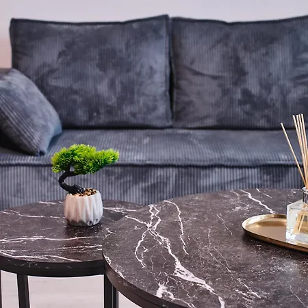 Grey Harmony - Premium Comfort In Timişoara